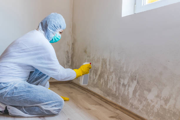 Mold Remediation specialist working in Winfield